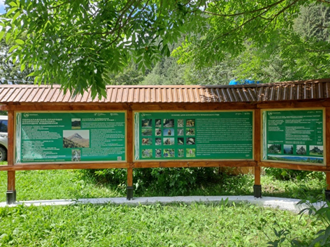 yzobrazhenye_2024-10-07_110345050
