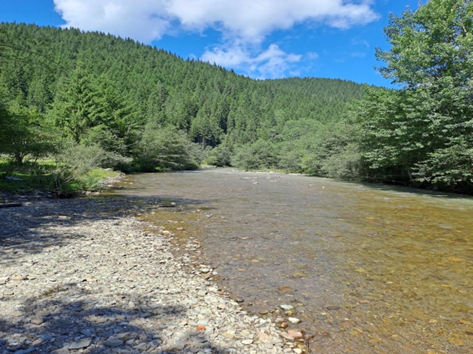yzobrazhenye_2024-10-07_110405313